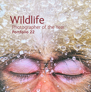 Portfolio 22